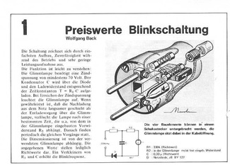  Preiswerte Blinkschaltung (an 220 V mit Glimmlampe) 